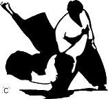 Association Francophone d'Aikido (AFA)